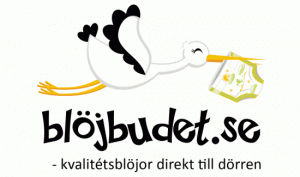 Bl-jbudet-logo-R7-stor1-550x325