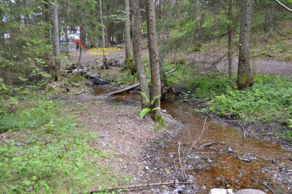 skog