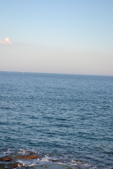 DSC_0936